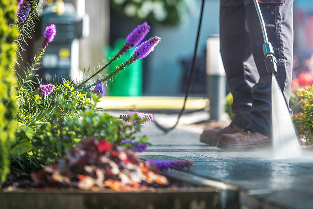 Elegir Muraclean para la limpieza de jardines